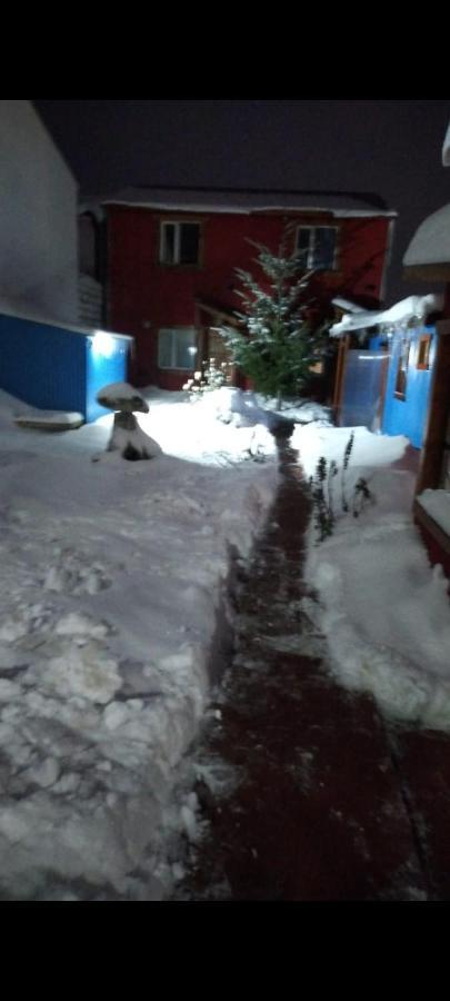 Ushuaia Centro Complejo De Cabanas المظهر الخارجي الصورة